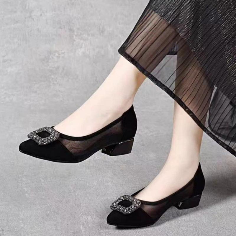 Women Shoes Model - Elegant Pointed Toe Mesh Block Heel